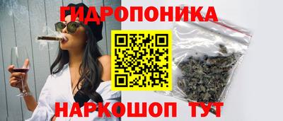 спиды Пугачёв