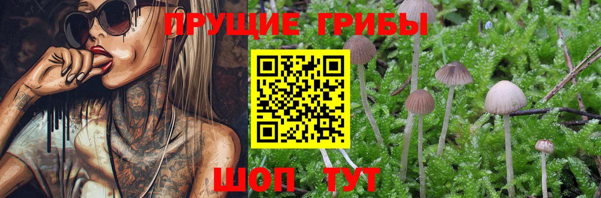Псилоцибиновые грибы мухоморы Семилуки
