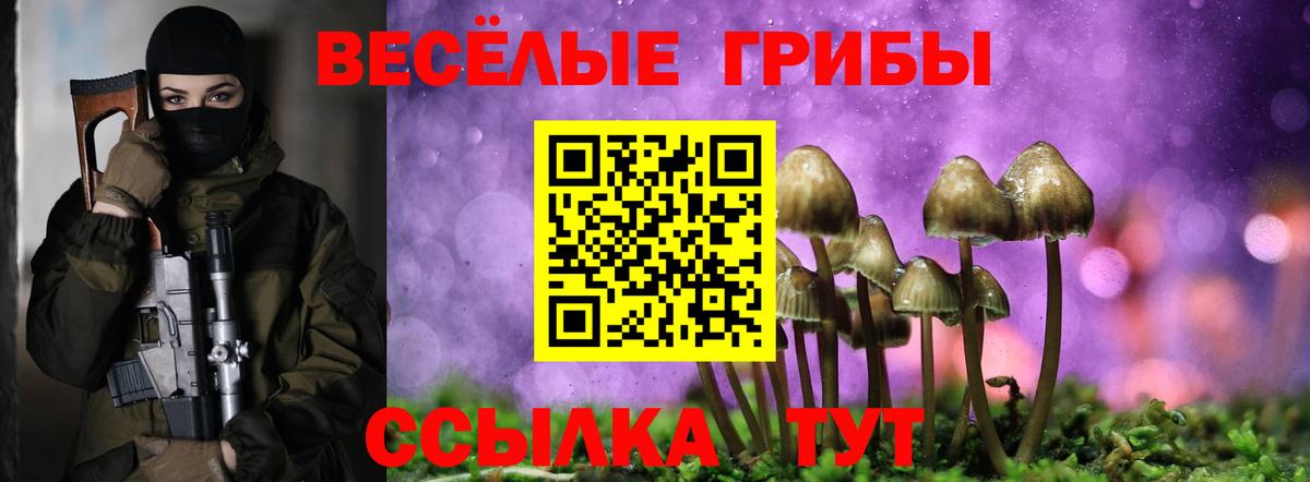 Галлюциногенные грибы прущие грибы  Вход с VPN  Семилуки 